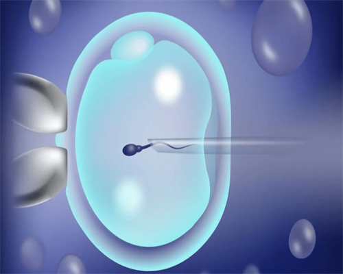 代生合法,探索一下!西宁找包生男孩医院?