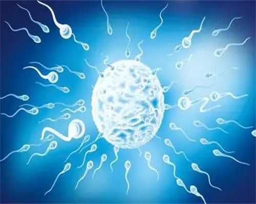 哪有代生孩子,2026年在湛江正规公立医院做一对龙凤胎价格？